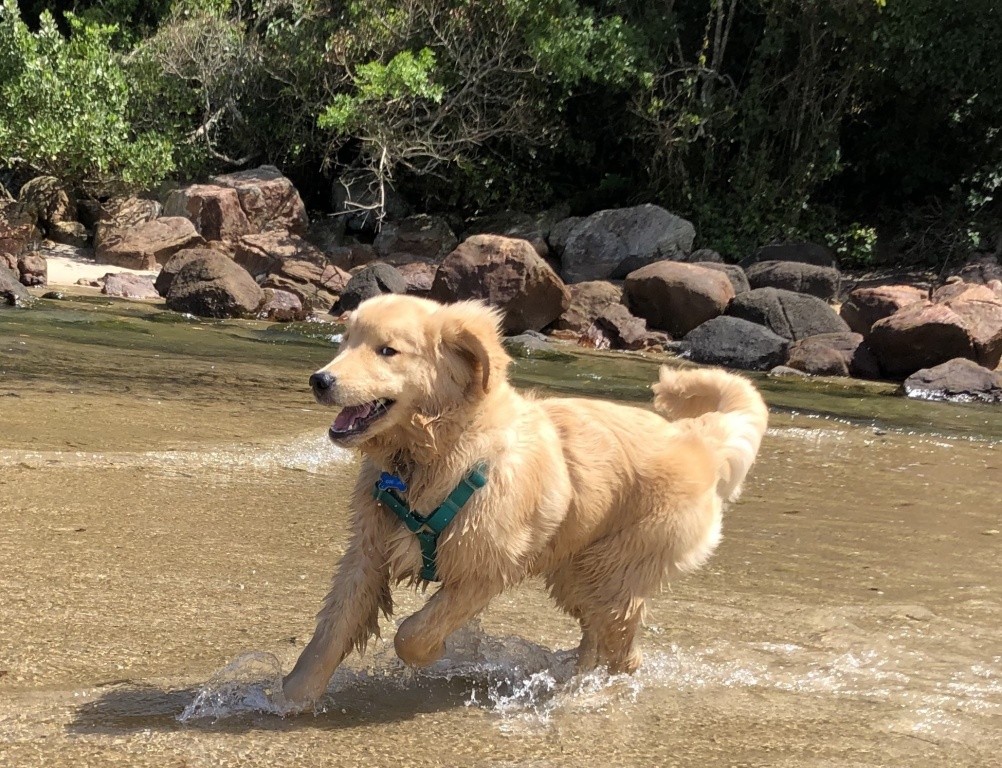 correndo-na-agua