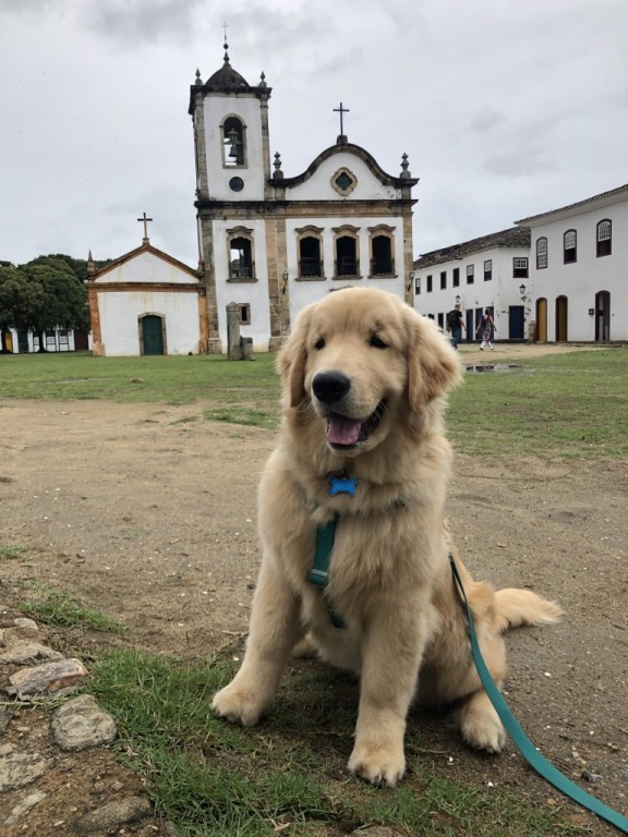 Paraty pet friendly