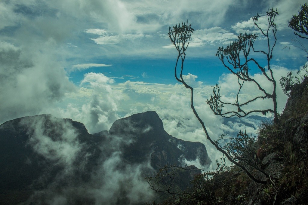 Pico da Neblina