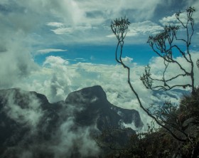 Pico da Neblina