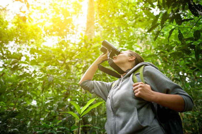 Foto por iStock / Soft_Light 