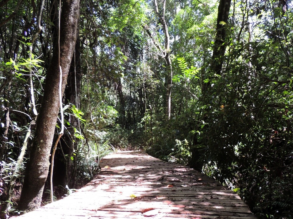 Serra da Negra