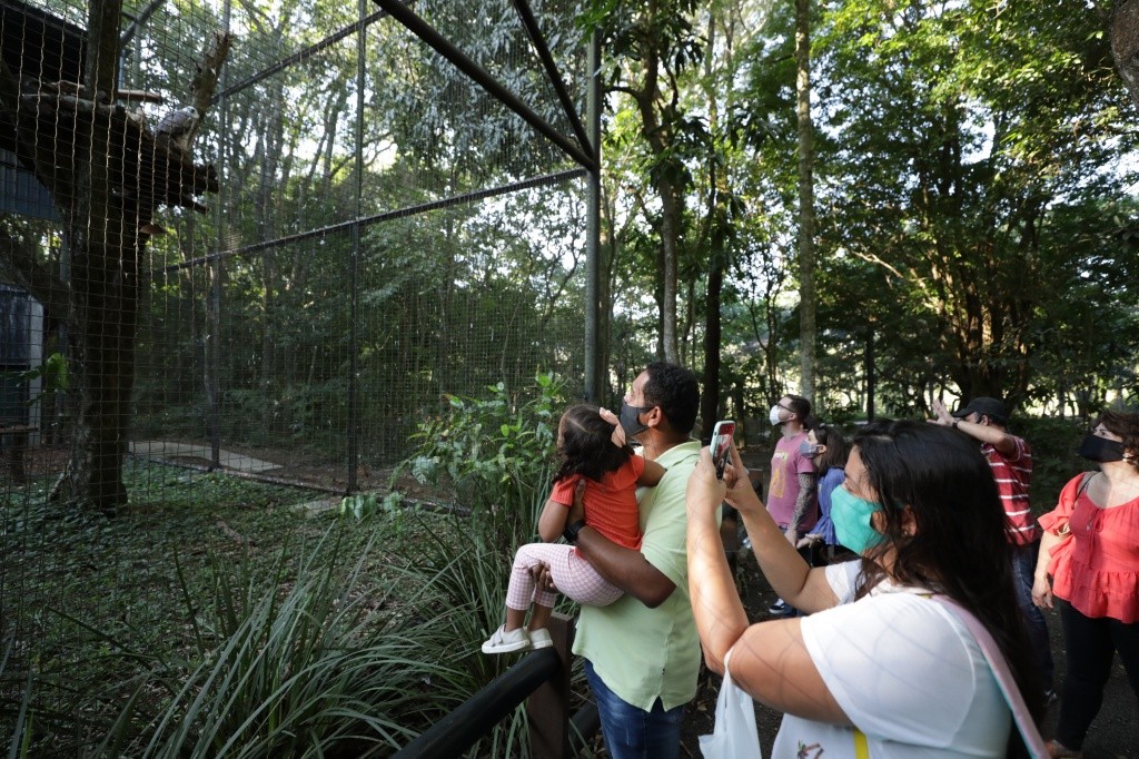 foz do iguaçu