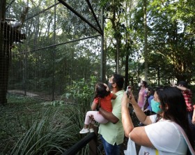 foz do iguaçu