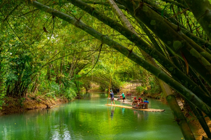 Foto por iStock / Debbie Ann Powell 