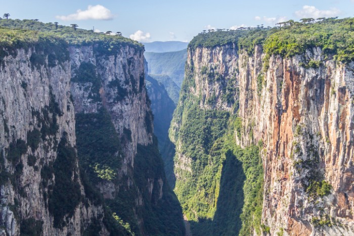 Foto por iStock / lisandrotrarbach 