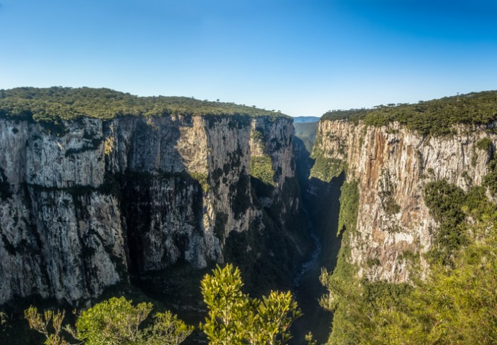 Foto por iStock / diegograndi 