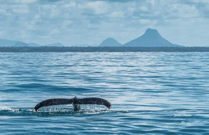 Abrolhos