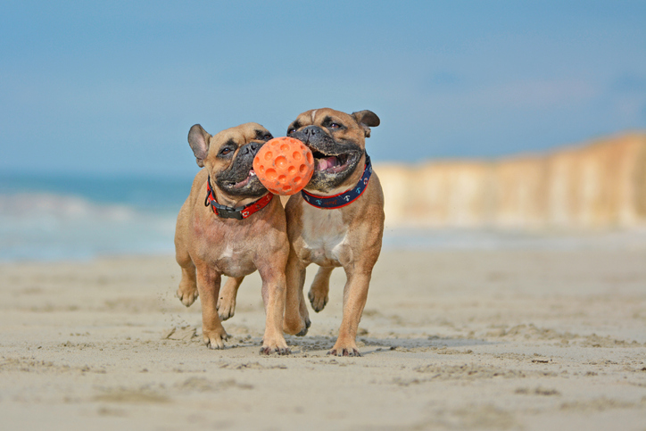 Foto por Istock / Firn