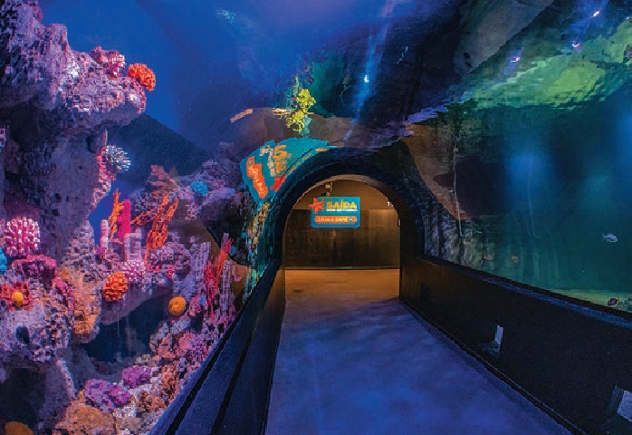Em Balneário Camboriú, Oceanic Aquarium é opção de lazer | Qual Viagem