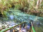 Atrativos turísticos de Mato Grosso estão abertos aos turistas istock-1160415701