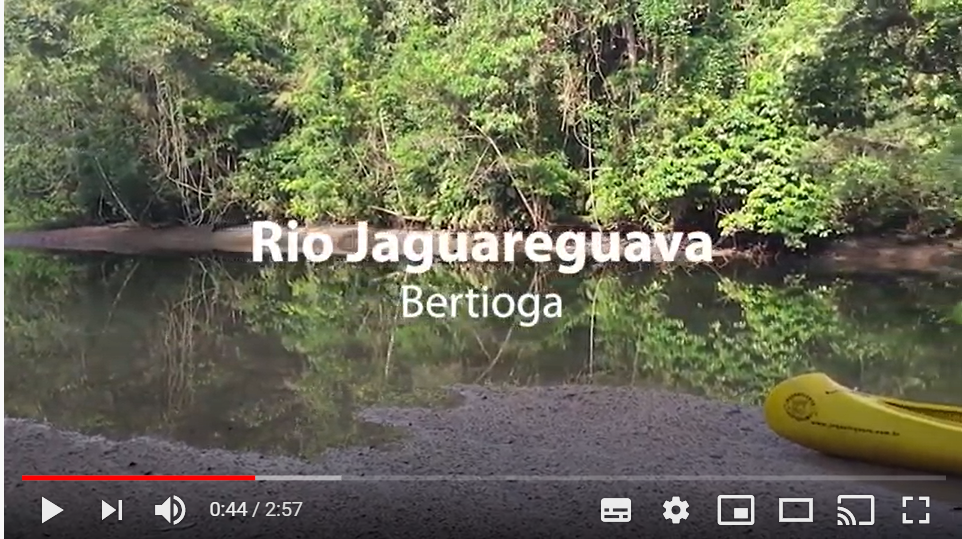 jaguareguava-video