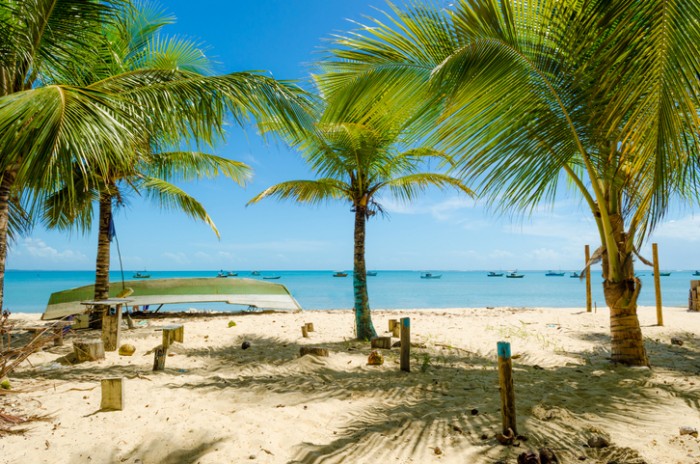 Foto por iStock / Paulo José Lima Gomes