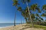 Sul da Bahia é o roteiro ideal para o Turismo Gastronômico prado sul da bahia