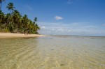 Boipeba Island