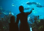 Woman and her daughter in the aquarium.