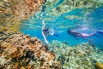 Cinco atividades certificadas para desfrutar em Anguilla anguilla caribe