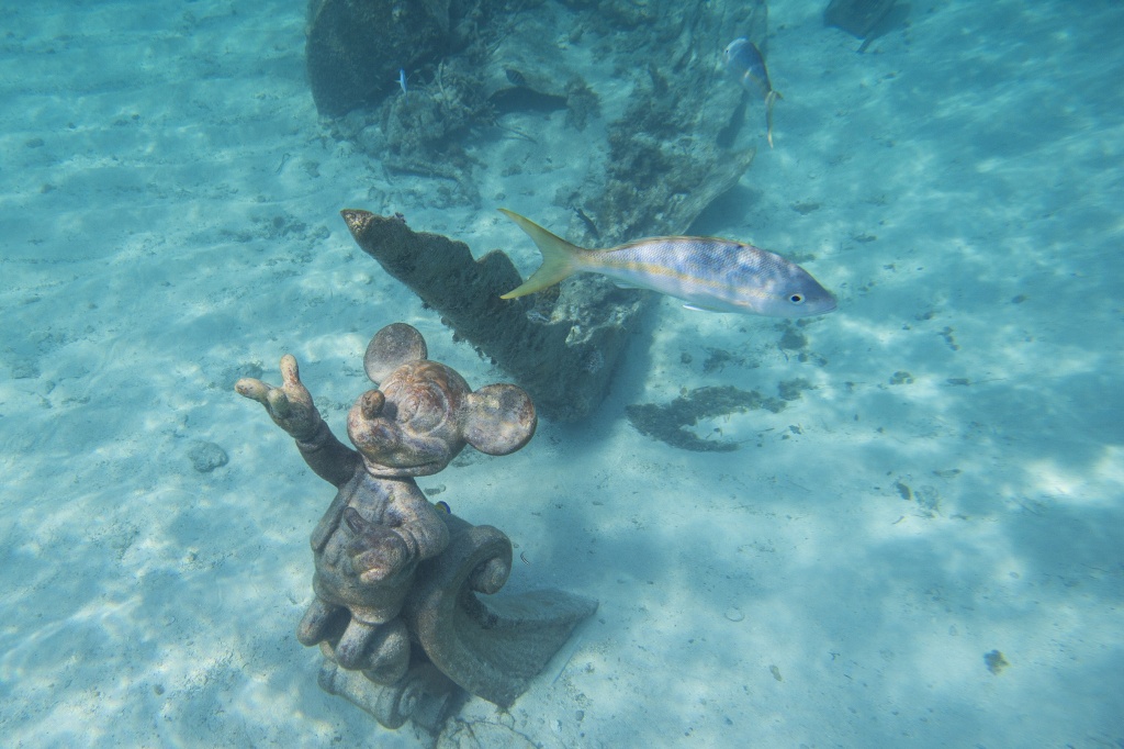 Castaway Cay. Foto por Matt Stroshane, photographer / Disney / Divulgação