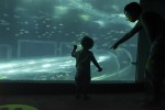 Em maio, mães não pagam entrada no AquaRio fabio-teixeira-645