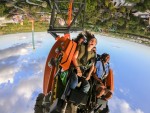Tampa: da cultura latina às montanhas-russas na Flórida tigris-divulgacao-seaworld-parks-entertainment