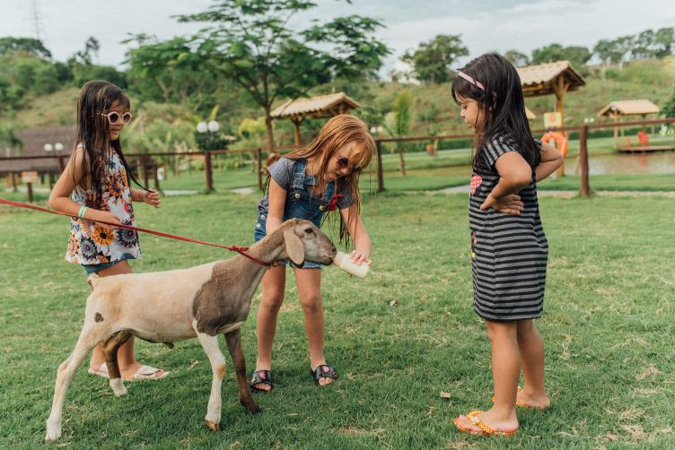 Foto por Divulgação