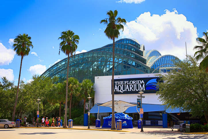 Florida Aquarium. Foto por iStock / csfotoimages