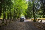 jeep_natureza_madeira045andre-carvalho-1