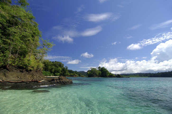 Foto por iStock / NTCo 