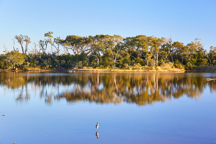 Big Talbot Island State Park. Foto por iStock / (c) Sean Board