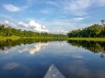 Turismo e voluntariado: startup Vivalá volta a realizar expedições na natureza istock-1195347109