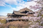 5 templos para se maravilhar com a arquitetura do Japão Kiyomizu-dera stage with cherry blossom