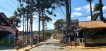 Primavera promete ser colorida e cheia de atrativos em Monte Verde avenida-monte-verde-eliria-buso