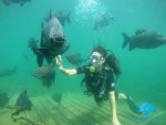 Novidade em Bonito: Nascente Azul ganhará museu subaquático nascente-azul-5