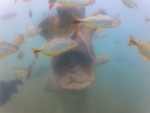 DCIM100GOPROGOPR4835.JPG