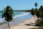 Patacho's Beach