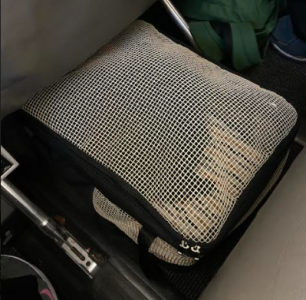 Caixa de embarque com pet dentro do avião