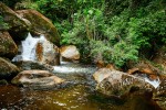 caraguatatuba-parque-estadual-da-serra-do-mar-foto-por-ken-chu-expressao-studio