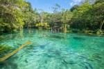 Bonito: Nascente Azul é exemplo de recuperação ambiental nascente-azul-flutuacao-3
