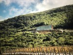 Três vinícolas para visitar na América do Sul vin-771a-eden-img-3030
