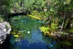 3 cenotes para conhecer durante as férias na Riviera Maya Mayan cenote inside the Dos Ojos park in Mexico