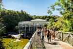 Passeios a céu aberto para curtir o verão em Curitiba foto-opera-de-arame-vini-grosbelli
