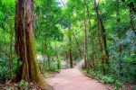 Circuito das Águas Paulista encanta com biodiversidade Pedreira-1024x683