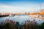 5 motivos para visitar Punta del Este na baixa temporada Punta del Este pier with lavender flowers in the foreground and boats and yachts in the background in the afternoon, with cityscape. Uruguay
