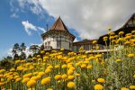 Campos do Jordão anuncia festival de MPB Dia das mães