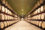 7 razões para escolher o Alentejo como seu próximo destino de vinhos Herdade do Esporão - Adega - Caves