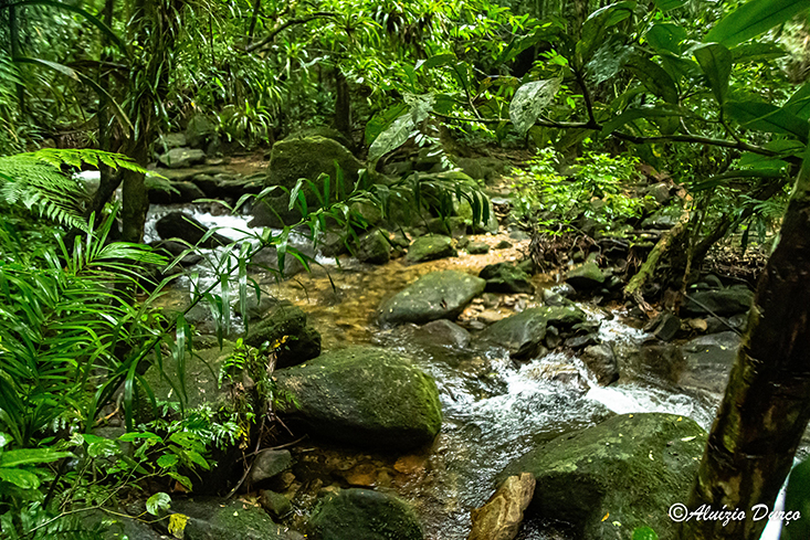 trilhas no Litoral Norte de São Paulo