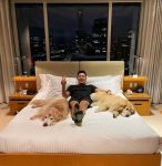 Grand Hyatt São Paulo anuncia novos serviços exclusivos destinados aos pets pet