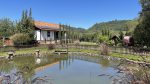 Os caminhos e encantos da Rota Romântica Nova Petrópolis Esculturas Parque Pedras do Silêncio (1) - foto por Patrícia Chemin