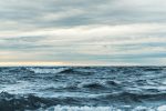Fórum Náutico Paulista firma Compromisso para o Futuro do Oceano no Marina Week ant-rozetsky-q-DJ9XhKkhA-unsplash