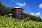 São Roque tem opção de hospedagem em barril de vinho gigante para o Dia dos Namorados chales-quintadoolivardo-foto-eliasgomesfotografia--1-